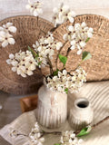 The pear blossom stem