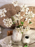 The pear blossom stem