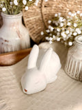 The sleeping bunny