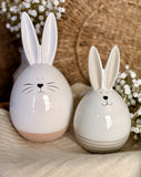 The spring bunny