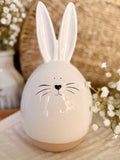 The spring bunny