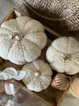 The Taupe Boucle pumpkins