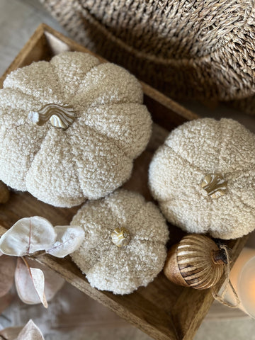 The Taupe Boucle pumpkins