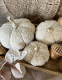 The Taupe Boucle pumpkins