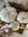 The Taupe Boucle pumpkins