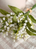 Lilly of the valley