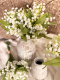 Lilly of the valley