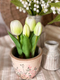The potted tulips
