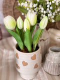 The potted tulips