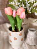 The potted tulips