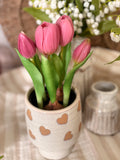The potted tulips