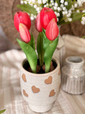 The potted tulips