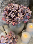 Mini Hydrangea bunch