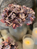 Mini Hydrangea bunch