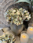 Mini Hydrangea bunch