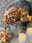 Mini Hydrangea bunch