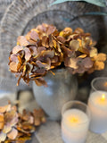 Mini Hydrangea bunch