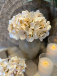 Mini Hydrangea bunch