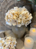 Mini Hydrangea bunch