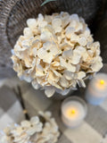 Mini Hydrangea bunch