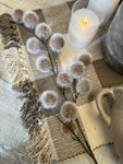 The brown Pom pom floral