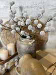 The Pom Pom floral