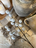 The Pom Pom floral