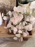The fall eucalyptus bunch