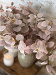 The fall eucalyptus bunch