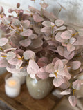 The fall eucalyptus bunch