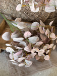 The fall eucalyptus bunch