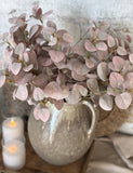 The fall eucalyptus bunch