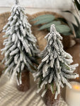 The snowy log stump tree