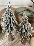 The snowy log stump tree