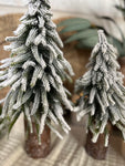 The snowy log stump tree