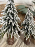 The snowy log stump tree