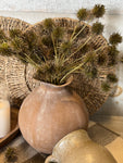 The chestnut balls - green brown