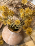 The chestnut balls - okra