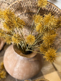 The chestnut balls - okra