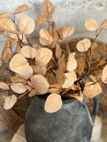 The golden eucalyptus