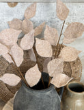 The felt leaf stem