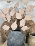 The felt leaf stem