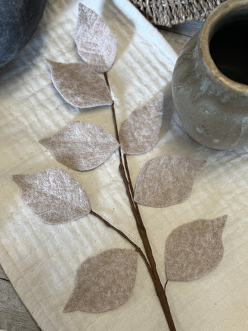 The felt leaf stem