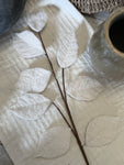 The felt leaf stem