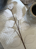 The felt leaf stem