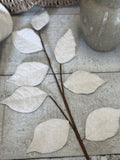 The felt leaf stem