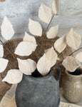 The felt leaf stem