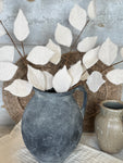 The felt leaf stem
