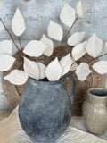 The felt leaf stem