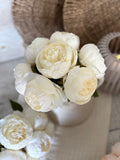 Peony bunch